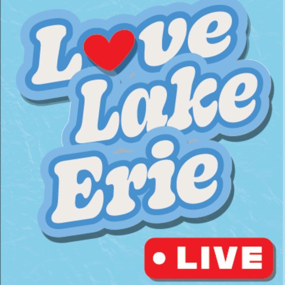 Accessories - LIVE LISTING - Thank you!! 😊🩷